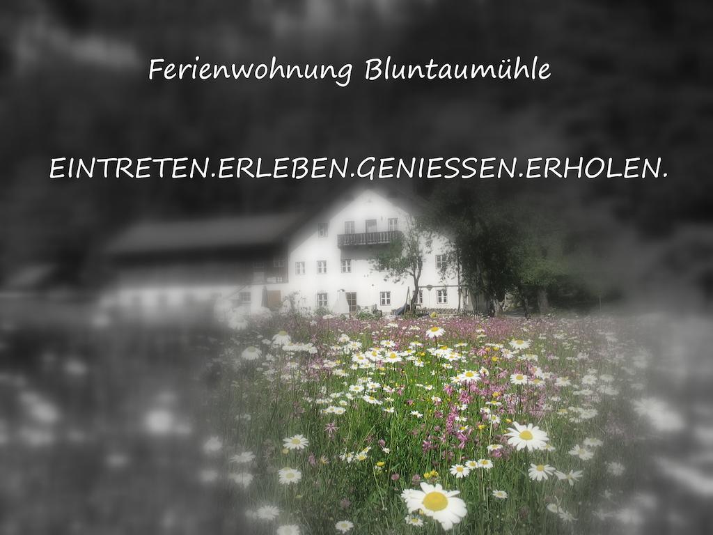 גולינג אן דר זלצאך Ferienwohnung Bluntaumuehle חדר תמונה